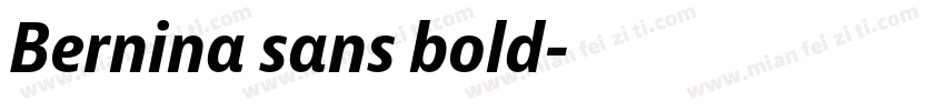 Bernina sans bold字体转换